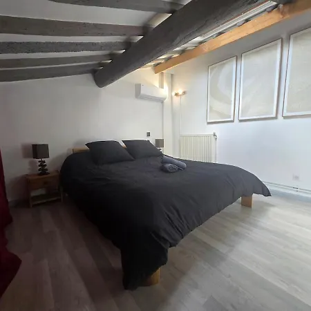 Cocon Des Arenes Centre 18 Couchages *